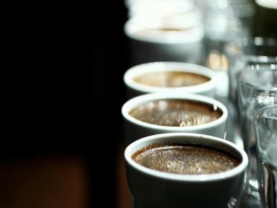 Cupping Guide for Beginners!