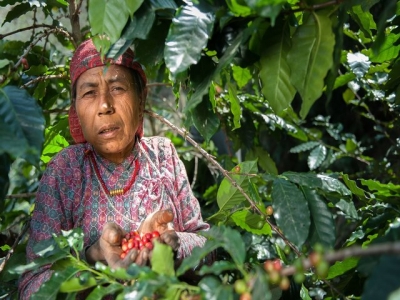Camatkara: Coffee beyond Tropicals!